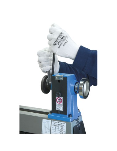 Torno para madera FERVI 0497/250