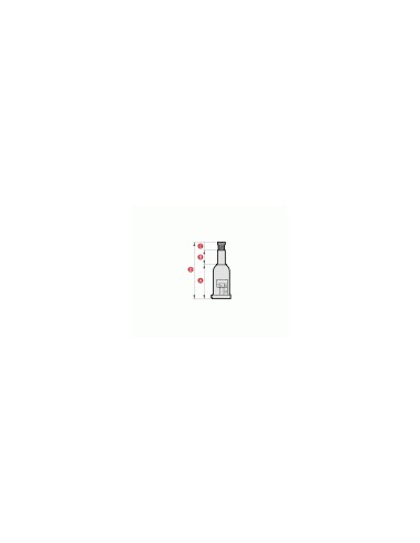 GATO BOTELLA MEGA BR20
