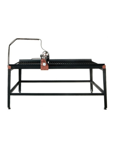 ION PLASMA BASIC M