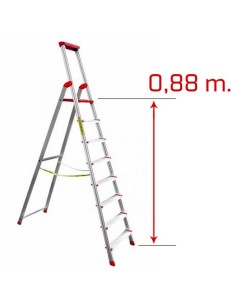 Escala professional ASEIN...