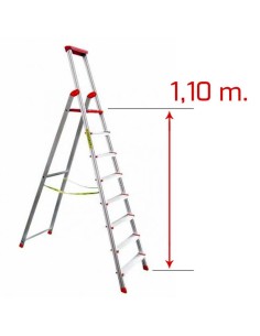 Escala professional ASEIN...